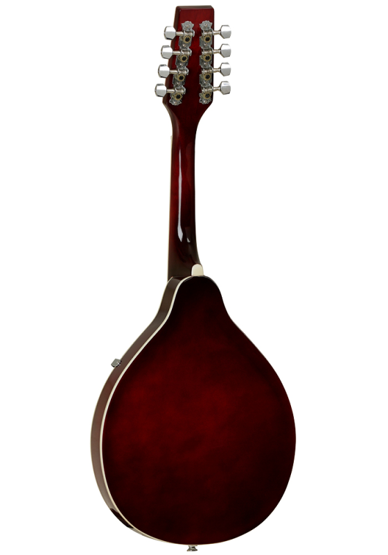 Tanglewood TWM T WR